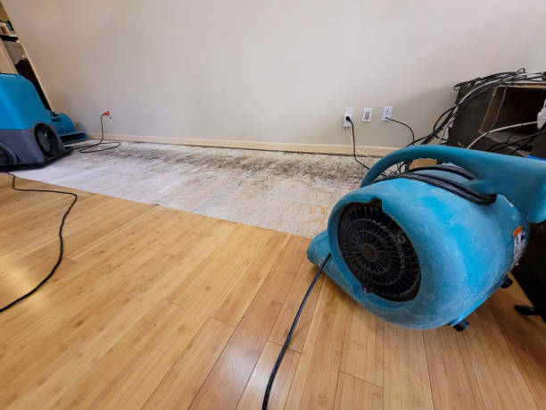 Professional Basement Flood Cleanup technician working in Prospect, KY